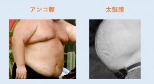 たった5分で分かる ナイシトールの効果が出やすい人とは Well Done